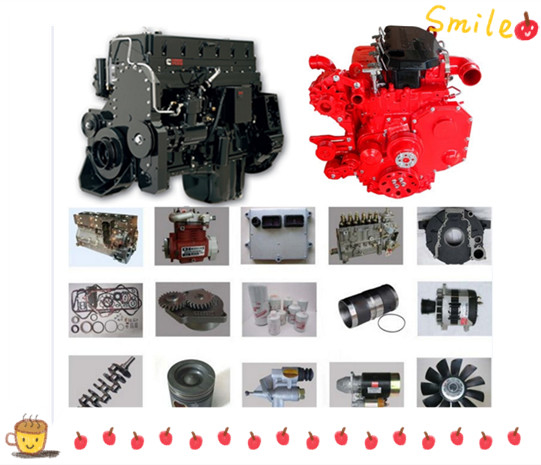 6L 8,9 el litro Cummins Engine parte el funcionamiento auténtico 4051033 del turbocompresor 3530521